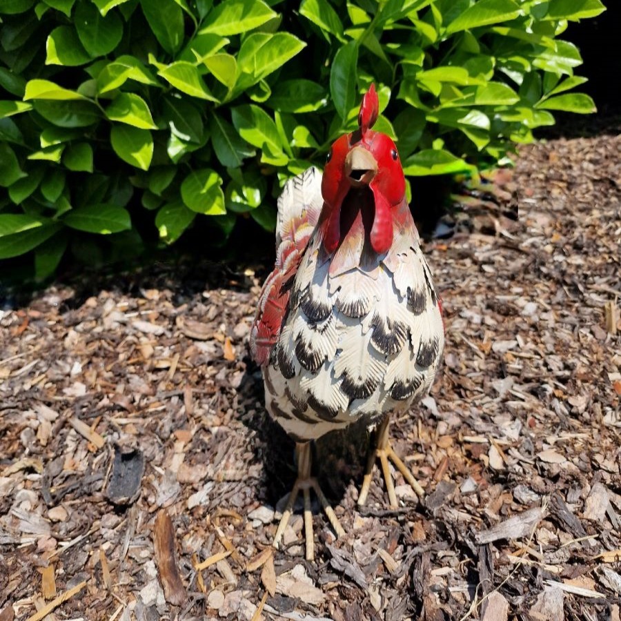 Poule en métal rouge et blanche