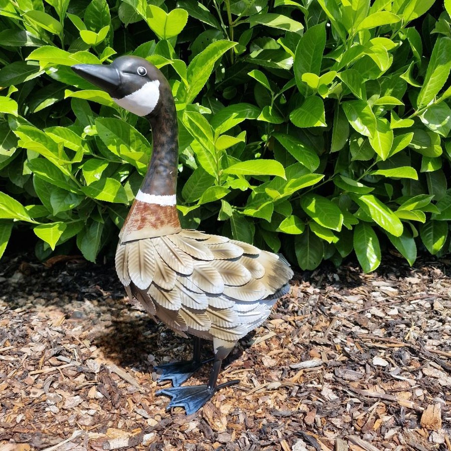 Canard en métal