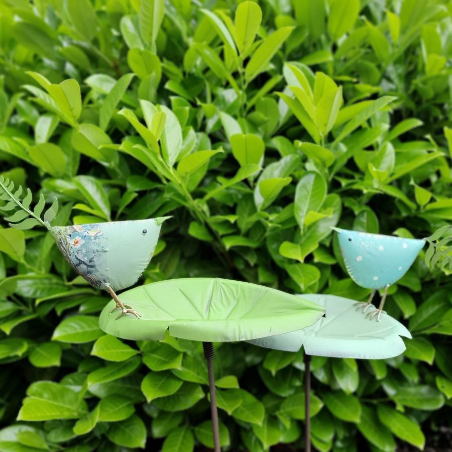 Pique oiseau bleu à motif sur sa feuille verte