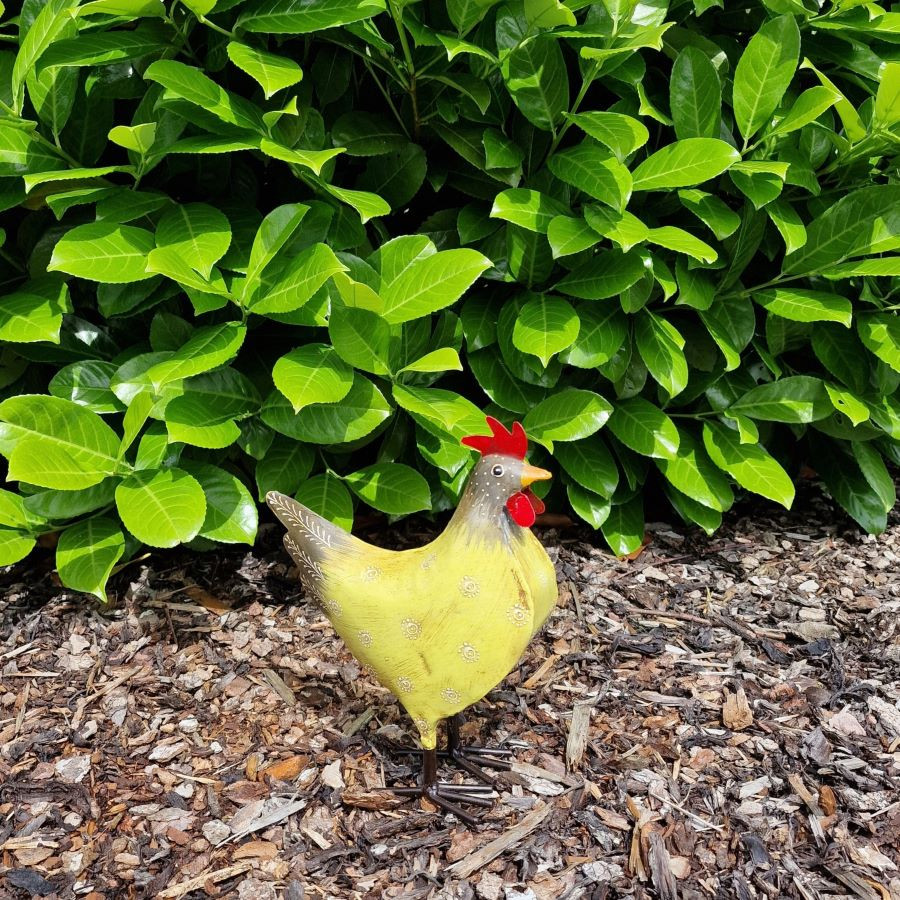 Poule fun en métal