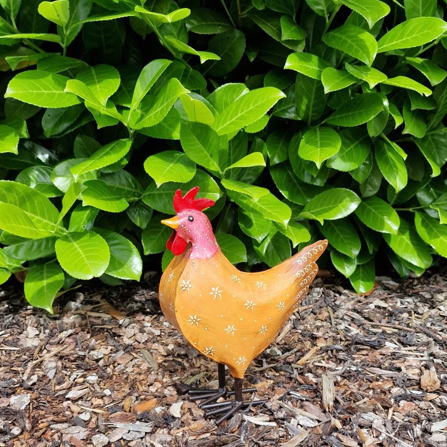 Poule fun en métal