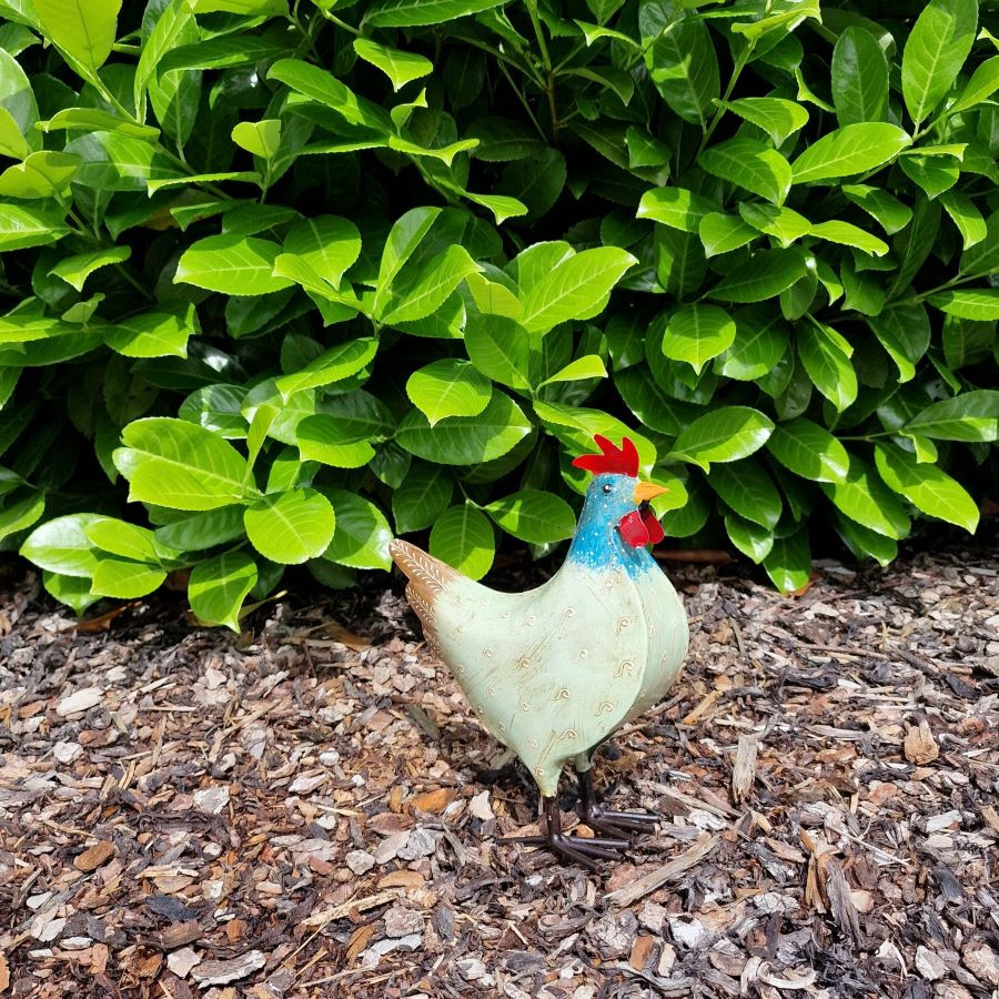 Poule fun en métal